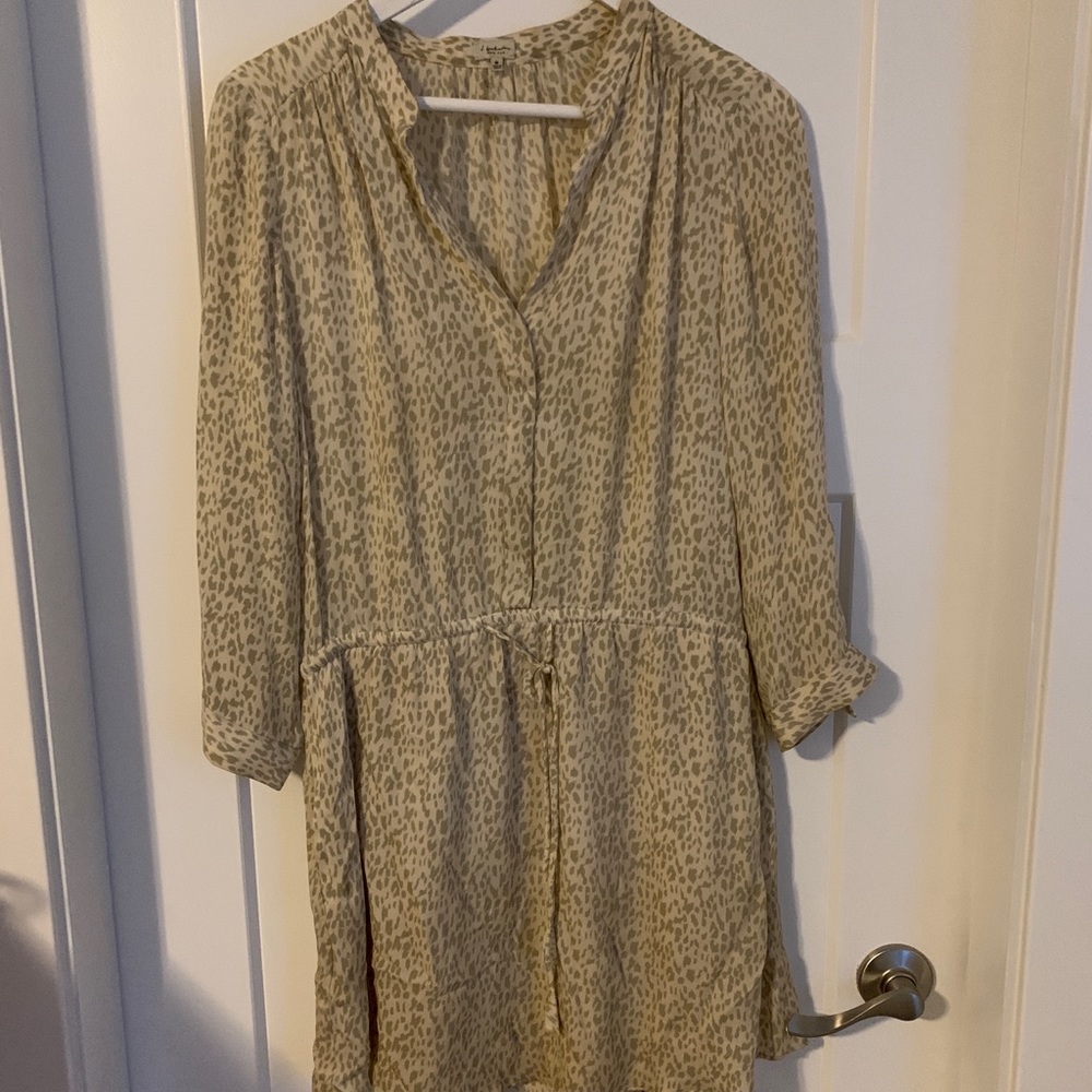Aritzia Babaton Silk Leopard Dress